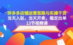 拼多多店铺运营思路与实操干货，当天入驻，当天开卖，稳定出单（13节课）