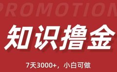 抖音知识撸金项目:执行力强当天见收益(教程+资料)