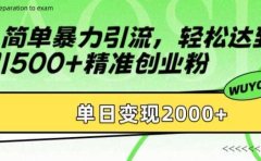简单暴力引流轻松达到日引500+精准创业粉，单日变现2k【揭秘】