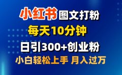 2月小红书图文打粉，每天10分钟，日引300+创业粉，小白轻松月入过万