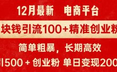 拼多多淘宝电商平台1块钱引流100个精准创业粉，简单粗暴高效长期精准，单人单日引流500+创业粉，日变现2000+