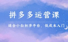 拼多多运营课，适合小白初涉平台，低成本入门