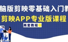 电脑版剪映零基础入门教程+剪映APP专业版课程（两套教程）