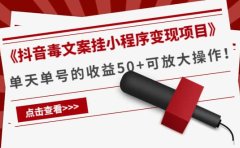 《抖音毒文案挂小程序变现项目》