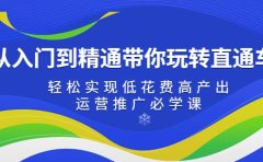 从入门到精通带你玩转直通车：轻松实现低花费高产出，35节运营推广必学课