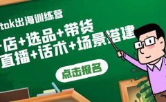Tiktok出海训练营：开店+选品+带货+直播+话术+场景搭建
