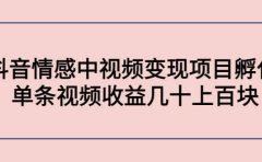 抖音情感中视频变现项目孵化