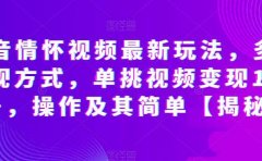 抖音情怀视频最新玩法,多种变现方式,单挑视频变现1000+,操作及其简单【揭秘】