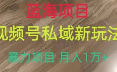 蓝海项目,视频号私域新玩法,暴力项目月入1万+【揭秘】