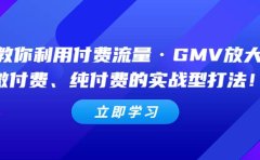 教你利用付费流量·GMV放大,微付费、纯付费的实战型打法