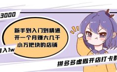 拼多多虚拟开店打卡群：入门到精通（昨日群里有小伙伴3000+）2月26更新