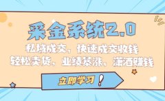采金 系统2.0,私域成交,快速成交收钱,轻松卖货,业绩暴涨,潇洒赚钱
