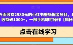 外面收费2980元的小红书壁纸掘金项目,单日收益破1000+,一部手机即可操作【揭秘】