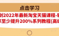 樊剑2022年最新淘宝天猫课程-转化率至少提升200%系列教程(高级)