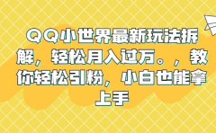 QQ小世界最新玩法拆解，轻松月入过万。教你轻松引粉，小白也能拿上手
