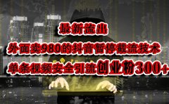最新流出：外面卖980的抖音暂停截流技术单条视频安全引流创业粉300+