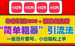 12底最新小红书单日引流200+创业粉，“简单粗暴”引流法，一张图片即可操作，小白轻松上手，私信根本回不完