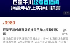 巨量千川起爆直播间操盘手实操训练营,实现快速起号和直播间高投产
