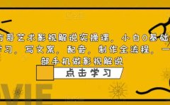 影视解说实战课，小白0基础 写文案 配音 制作全流程 一部手机做影视解说
