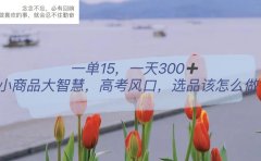 一单15,一天300+,小商品大智慧,高考风口,选品该怎么布局
