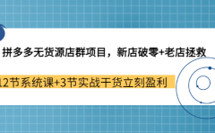 拼多多无货源店群项目，新店破零+老店拯救 12节系统课+3节实战干货立刻盈利