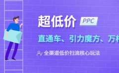 2023超低价·ppc—“直通车、引力魔方、万相台”全渠道·低价扫流核心玩法