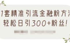 1套精准引流金融粉方法，轻松日引300+粉丝【视频课程】