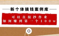 新个体 搞钱案例 库,可以直接抄作业 如何赚到第一个100w(29节视频+文档)