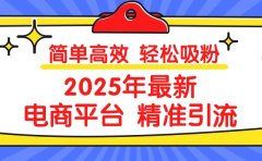 2025年最新电商平台精准引流 简单高效 轻松吸粉