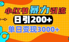 小红书一张图片“引爆”创业粉，单日+200+精准创业粉 可筛选付费意识创业粉