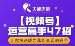 大敏思维-视频号运营高手47招，让你快速成为涨粉变现高手