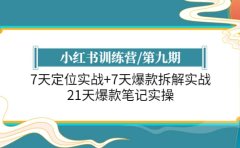 小红书训练营/第九期:7天定位实战+7天爆款拆解实战,21天爆款笔记实操