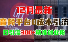 12月最新：音频平台0成本引流，日引300+精准创业粉