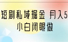 靠短剧私域掘金 月入5W 小白闭眼做(教程+2T资料)