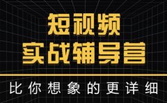 达人队长:短视频实战辅导营，比你想象的更详细