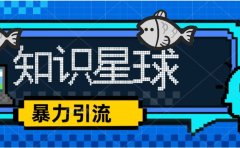 价值1980,知识星球课程,流量堆积器,冷门暴力引流项目,全网最新玩法