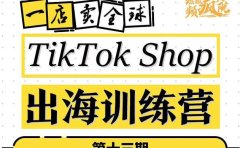 TikTokShop出海训练营（第十三期），打开全球流量新思维，出海抢占全球新流量，一店卖全球