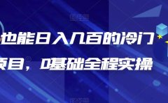 新手也能日入几百的冷门DIY项目,0基础全程实操【揭秘】