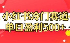 小红书冷门赛道,单日盈利500+【揭秘】