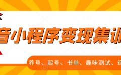 抖音小程序变现集训课，养号、起号、书单、趣味测试、视频剪辑，全套流程