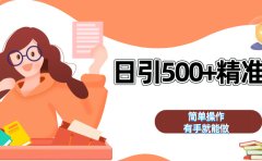 日引500+精准粉  简单操作 有手就能做