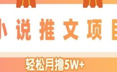 小说推文副业项目，另类进阶玩法