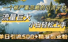 一个被严重忽略的引流平台，流量巨大，小白轻松上手，单日引流500＋精准创业粉