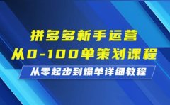 拼多多新手运营从0-100单策划课程,从零起步到爆单详细教程