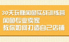 30天玩赚闲鱼实战训练营,闲鱼专业卖家教你如何打造自己店铺