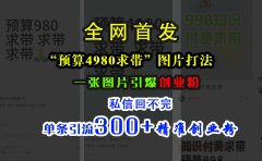 小红书“预算4980带我飞”图片打法，一张图片引爆创业粉，私信回不完，单条引流300+精准创业粉