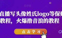 抖音直播写头像姓氏logo等保姆级教程,火爆撸音浪教程【揭秘】