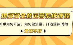 拼多多全套运营系统课程：新手如何开店 如何做流量 打造爆款 等等 全部干货