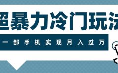超暴力冷门玩法,可长期操作,一部手机实现月入过万