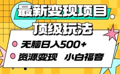 最新变现项目顶级玩法 无脑日入500+ 资源变现 小白福音